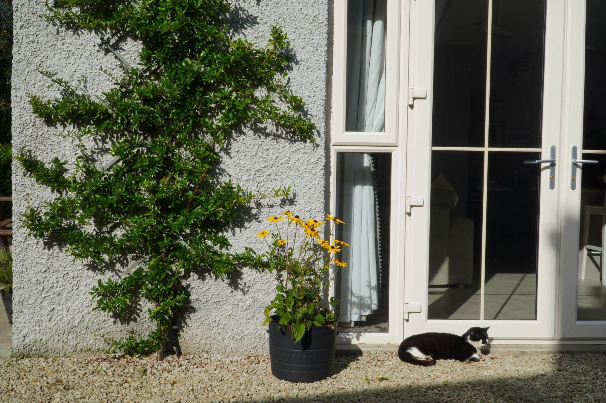 Ivy Lodge Letterkenny Buitenkant foto